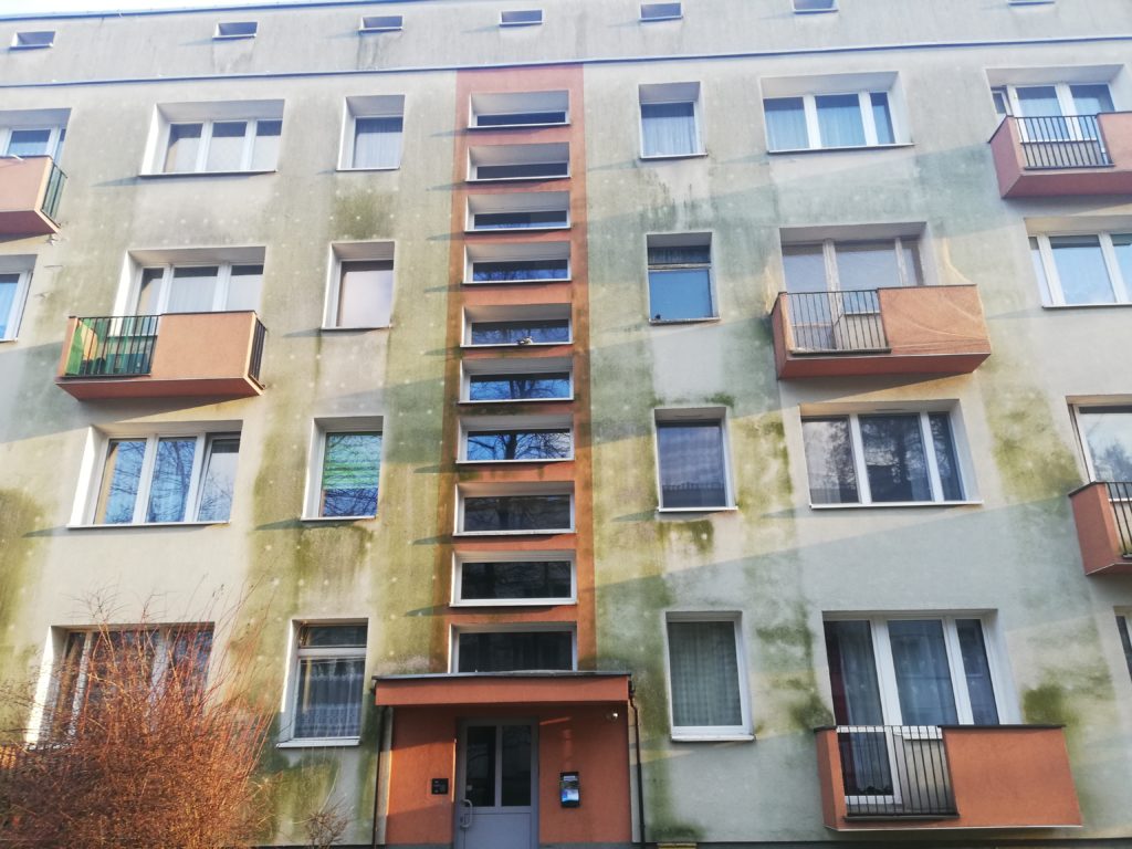 Zazielenione elewacje